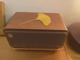 Bluetooth-Колонка EDIFIER Edifier M230, портативная беспроводная мини-колонка с сабвуфером (art.: 3920bd106a8cb)